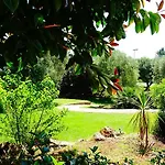 Poggio Delle Ginestre