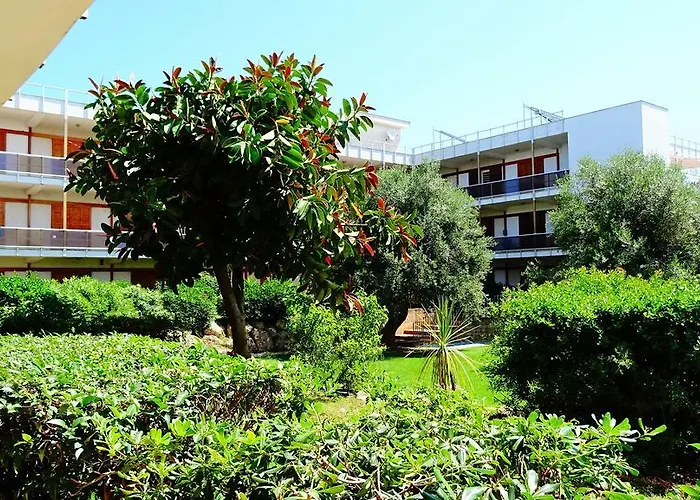 Bed & Breakfast Poggio Delle Ginestre