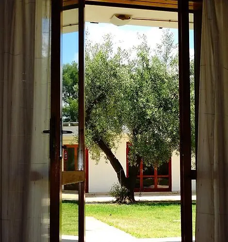 Bed & Breakfast Poggio Delle Ginestre Rutigliano